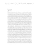 POLYMERS OF ISROPENE FROM RENEWABLE RESOURCES diagram and image