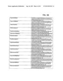 APPARATUS FOR HEALTH CORRELATION ASSESSMENT diagram and image