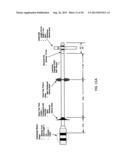 DEVICES AND METHODS FOR MODULATION OF BONE EROSION diagram and image