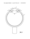 OCULAR DELIVERY SYSTEMS AND METHODS diagram and image