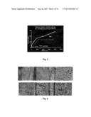 BIOHYBRID COMPOSITE SCAFFOLD diagram and image