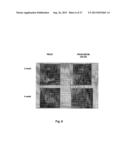 BIOHYBRID COMPOSITE SCAFFOLD diagram and image