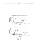 BIOHYBRID COMPOSITE SCAFFOLD diagram and image