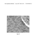 BIOHYBRID COMPOSITE SCAFFOLD diagram and image