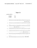 INTERFERON ALPHA ANTIBODIES AND THEIR USES diagram and image