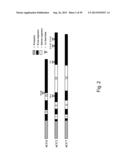 Engineering Single-Gene-Controlled Staygreen Potential Into Plants diagram and image