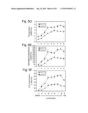 Engineering Single-Gene-Controlled Staygreen Potential Into Plants diagram and image