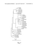 Engineering Single-Gene-Controlled Staygreen Potential Into Plants diagram and image