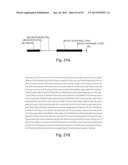 Engineering Single-Gene-Controlled Staygreen Potential Into Plants diagram and image