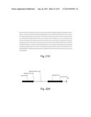 Engineering Single-Gene-Controlled Staygreen Potential Into Plants diagram and image