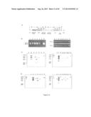 MANIPULATION OF PLANT SENESCENCE USING MODIFIED PROMOTERS diagram and image