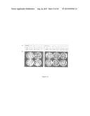 MANIPULATION OF PLANT SENESCENCE USING MODIFIED PROMOTERS diagram and image