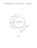 MANIPULATION OF PLANT SENESCENCE USING MODIFIED PROMOTERS diagram and image