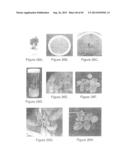 MANIPULATION OF PLANT SENESCENCE USING MODIFIED PROMOTERS diagram and image