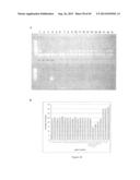 MANIPULATION OF PLANT SENESCENCE USING MODIFIED PROMOTERS diagram and image