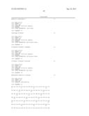 CONSTRUCT AND METHOD FOR SYNTHETIC BIDIRECTIONAL PLANT PROMOTER UBI1 diagram and image