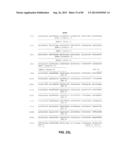 CONSTRUCT AND METHOD FOR SYNTHETIC BIDIRECTIONAL PLANT PROMOTER UBI1 diagram and image