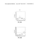 CONSTRUCT AND METHOD FOR SYNTHETIC BIDIRECTIONAL PLANT PROMOTER UBI1 diagram and image