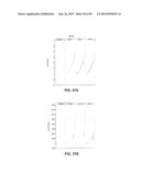 CONSTRUCT AND METHOD FOR SYNTHETIC BIDIRECTIONAL PLANT PROMOTER UBI1 diagram and image