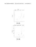 CONSTRUCT AND METHOD FOR SYNTHETIC BIDIRECTIONAL PLANT PROMOTER UBI1 diagram and image