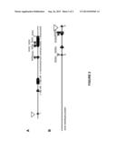 SOYBEAN APHID RESISTANCE GENE RAG2 diagram and image