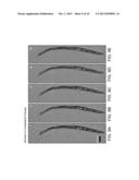 METHOD AND DEVICE FOR HOLOGRAPHIC OPTO-FLUIDIC MICROSCOPY diagram and image