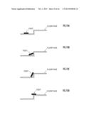 CONTACT STATE ESTIMATING APPARATUS diagram and image