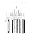 CAPACITIVE TOUCH SENSOR LAMINATE FOR DISPLAY PANEL DEVICE diagram and image