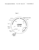 COMPOSITIONS AND METHODS FOR THE DELIVERY OF THERAPEUTIC PEPTIDES diagram and image