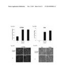 MATURE HEPATOCYTE CELLS DERIVED FROM INDUCED PLURIPOTENT STEM CELLS, A     GENERATING METHOD THEREOF, AND USE THEREOF FOR TREATMENT OF LIVER     DISEASES diagram and image