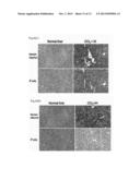 MATURE HEPATOCYTE CELLS DERIVED FROM INDUCED PLURIPOTENT STEM CELLS, A     GENERATING METHOD THEREOF, AND USE THEREOF FOR TREATMENT OF LIVER     DISEASES diagram and image