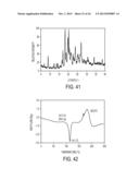 CRYSTALLINE FORMS OF     (R)-3-[N-(3 -CHLOROBIPHENYL-4-YLMETHYL)-N -(3-HYDROXYISOXAZOLE-5-CARBONYL-    )HYDRAZINO]-2-HYDROXYPROPIONIC ACID ISOPROPYL ESTER diagram and image