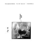 METHOD FOR USE OF A DOUBLE-STRUCTURED TISSUE IMPLANT FOR TREATMENT OF     TISSUE DEFECTS diagram and image