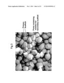 METHOD FOR USE OF A DOUBLE-STRUCTURED TISSUE IMPLANT FOR TREATMENT OF     TISSUE DEFECTS diagram and image