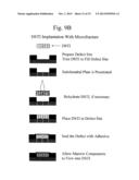 METHOD FOR USE OF A DOUBLE-STRUCTURED TISSUE IMPLANT FOR TREATMENT OF     TISSUE DEFECTS diagram and image