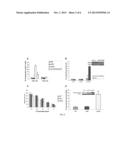 METHODS AND COMPOSITIONS FOR TREATING CANCER WITH PLATINUM PARTICLES diagram and image