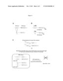 METHOD FOR DETECTING THE PRESENCE OF A DNA MINOR CONTRIBUTOR IN A DNA     MIXTURE diagram and image