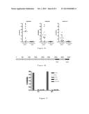 BLOOD MARKERS FOR DIAGNOSING EPITHELIUM DERIVED CANCERS AND MONOCLONAL     ANTIBODIES THEREOF diagram and image