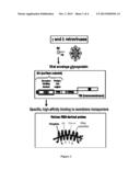 METHOD FOR THE DIAGNOSIS AND/OR PROGNOSIS OF INFLAMMATORY STATES diagram and image