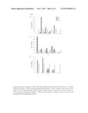 METHOD FOR THE DIAGNOSIS OF AND/OR MONITORING MUCORMYCOSIS diagram and image