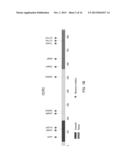 DDR2 Mutations in Squamous Cell Lung Cancer diagram and image