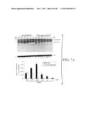 GREEN TEA POLYPHENOL ALPHA SECRETASE ENHANCERS AND METHODS OF USE diagram and image