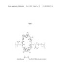 CYCLODEXTRIN-BASED POLYMERS FOR THERAPEUTIC DELIVERY diagram and image