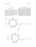 CYCLODEXTRIN-BASED POLYMERS FOR THERAPEUTIC DELIVERY diagram and image