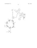 CYCLODEXTRIN-BASED POLYMERS FOR THERAPEUTIC DELIVERY diagram and image