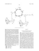 CYCLODEXTRIN-BASED POLYMERS FOR THERAPEUTIC DELIVERY diagram and image