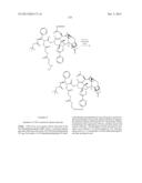 CYCLODEXTRIN-BASED POLYMERS FOR THERAPEUTIC DELIVERY diagram and image