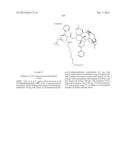 CYCLODEXTRIN-BASED POLYMERS FOR THERAPEUTIC DELIVERY diagram and image