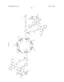 CYCLODEXTRIN-BASED POLYMERS FOR THERAPEUTIC DELIVERY diagram and image