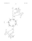 CYCLODEXTRIN-BASED POLYMERS FOR THERAPEUTIC DELIVERY diagram and image